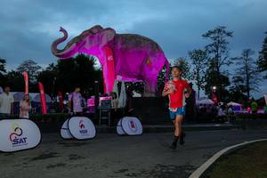 BIB: 
                            <button type="button" onclick="openModal(26529753)" class="btn btn-primary btn-sm float-right btn-popup" data-toggle="modal" data-target=".modal-high-quality">
                        <i class="fas fa-shopping-cart"></i> Add to Cart
                    </button>
                                            <button type="button" onclick="isThisMe(26529753, true)" class="btn btn-success btn-sm float-right btn-popup btn-isme hidden" data-toggle="tooltip" data-placement="bottom" title="นี่คือรูปของคุณใช่ไหม คลิกที่นี่เพื่อเอาเข้าอัลบั้ม">
                        <i class="fas fa-plus"></i> Add to album
                    </button>
                    <button type="button" onclick="isThisMe(26529753, false)" class="btn btn-warning btn-sm float-right btn-popup btn-isnotme hidden">
                        <i class="fas fa-ban"></i> Remove from album
                    </button>